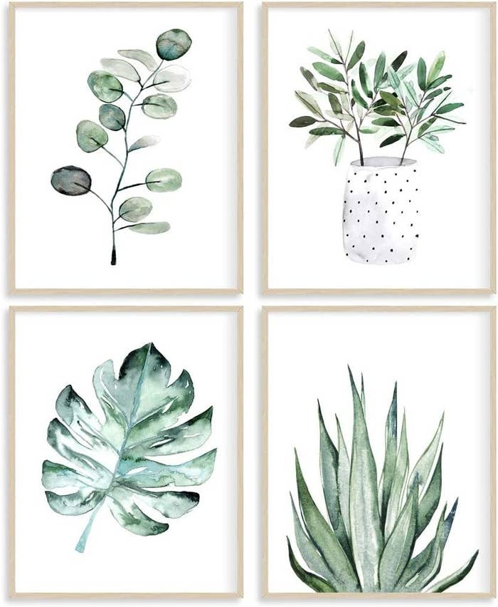 four watercolour prints of various botanicals