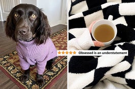 Checkered blankets, heart-shaped charcuterie boards, and turtleneck sweaters for your dog.