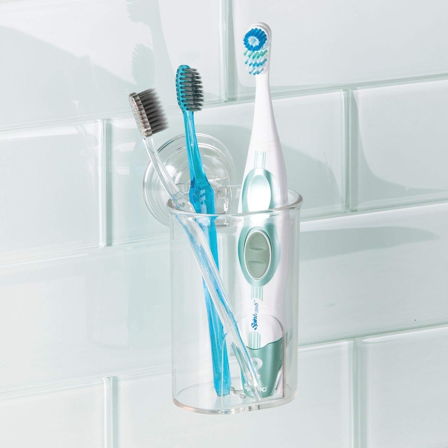 Several toothbrushes in the cup