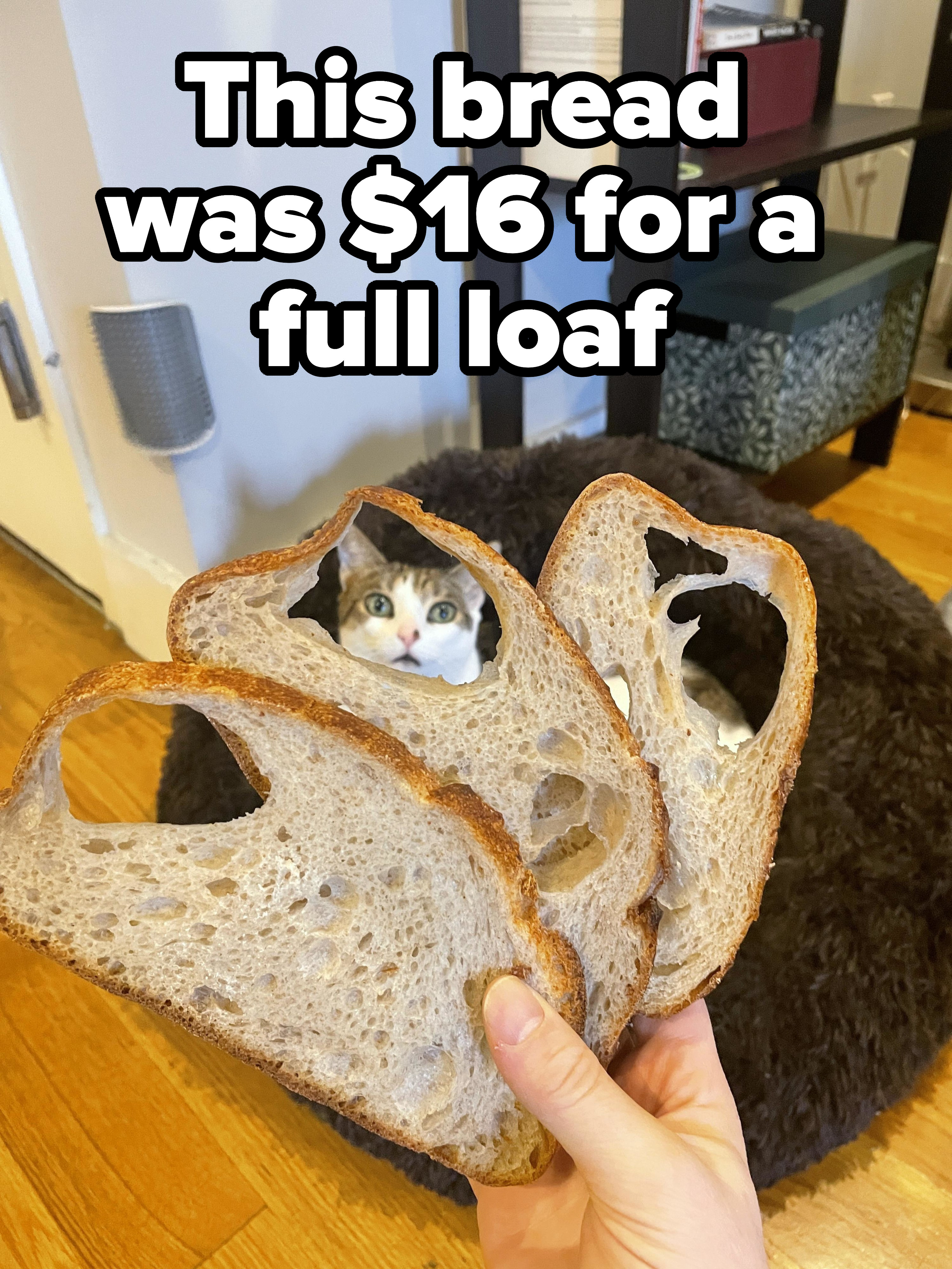 Bread from a $16 loaf with big holes in it
