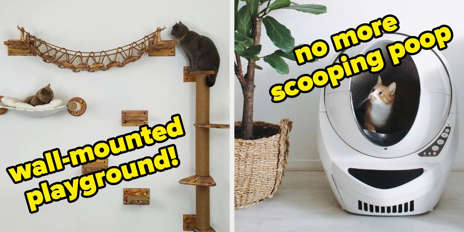 35 A+ Products If You Have More Than One Cat - Vimarsana News