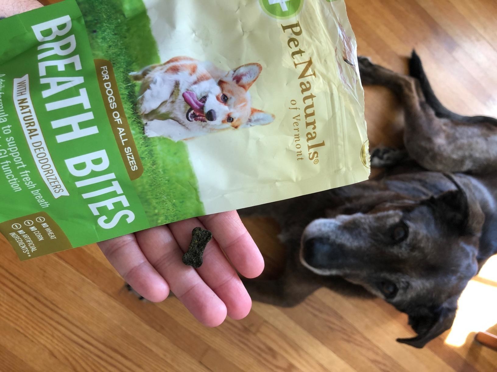 a reviewer photo of a person holding the treat over their dog