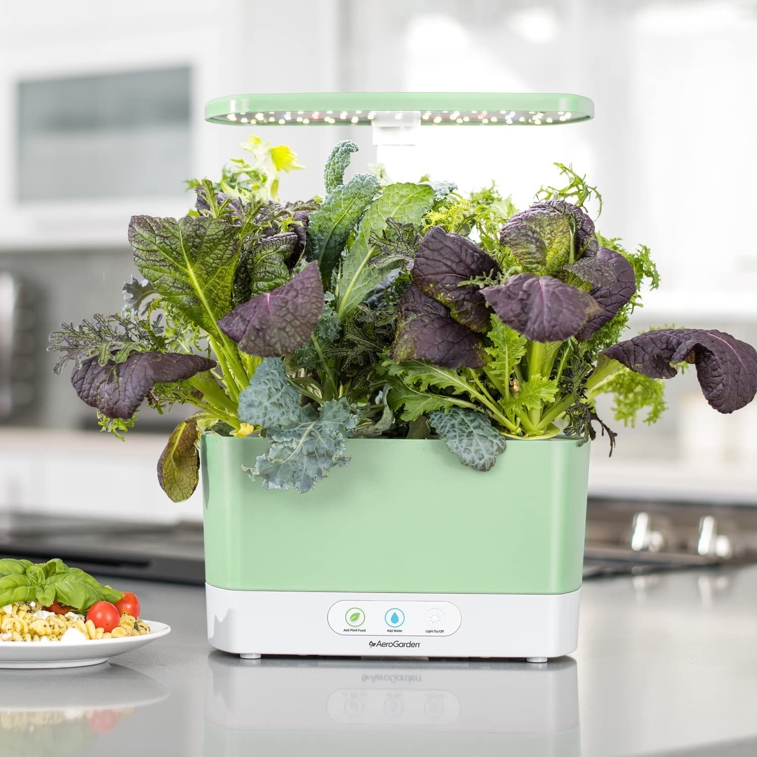 the green AeroGarden sprouting with herbs
