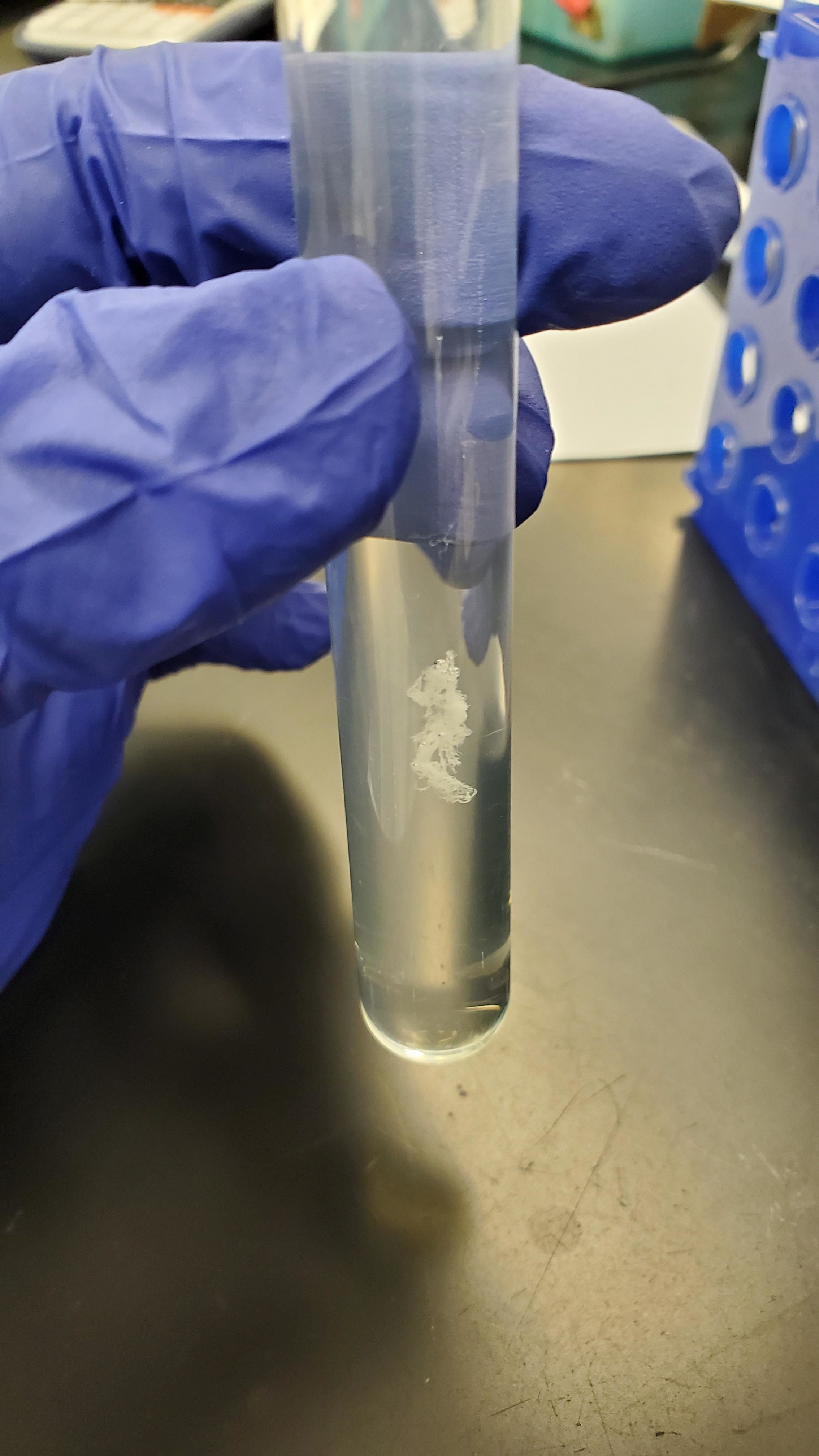 Clear liquid with a small clump in the center in a test tube