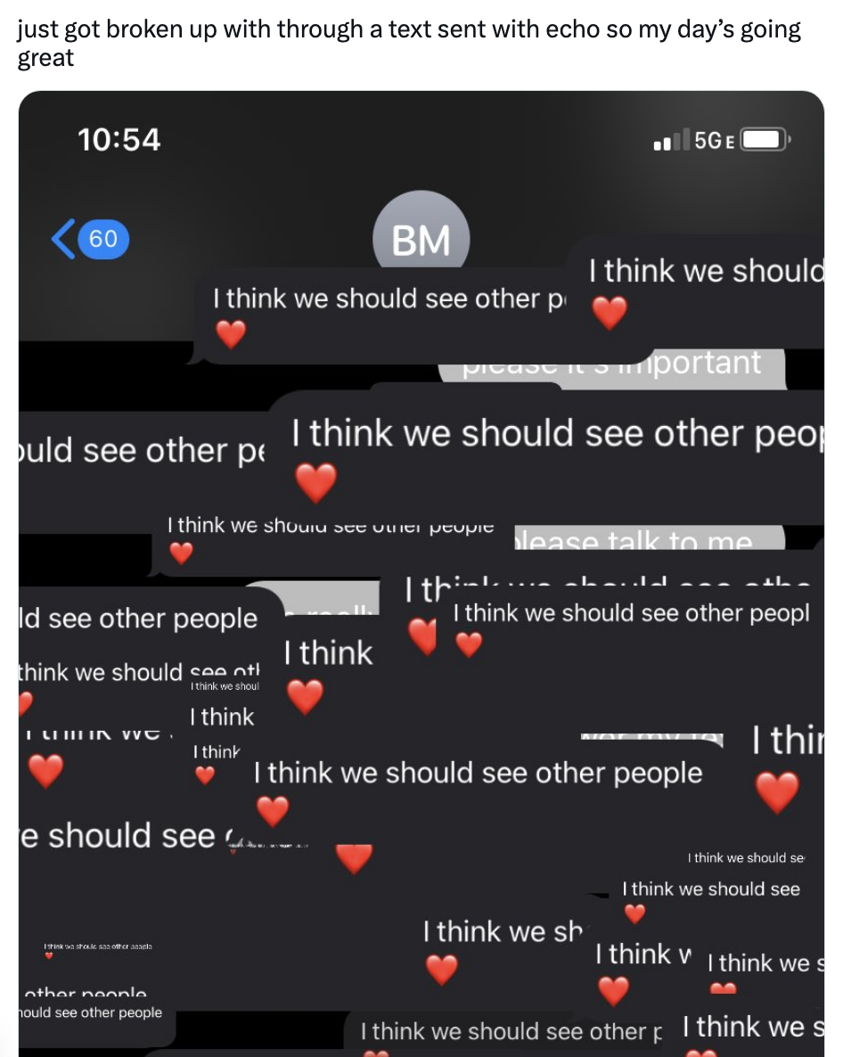 The person&#x27;s S.O. breaks up with them over text with Echo, so they keep being sent the text &quot;I think we should see other people&quot; over and over again
