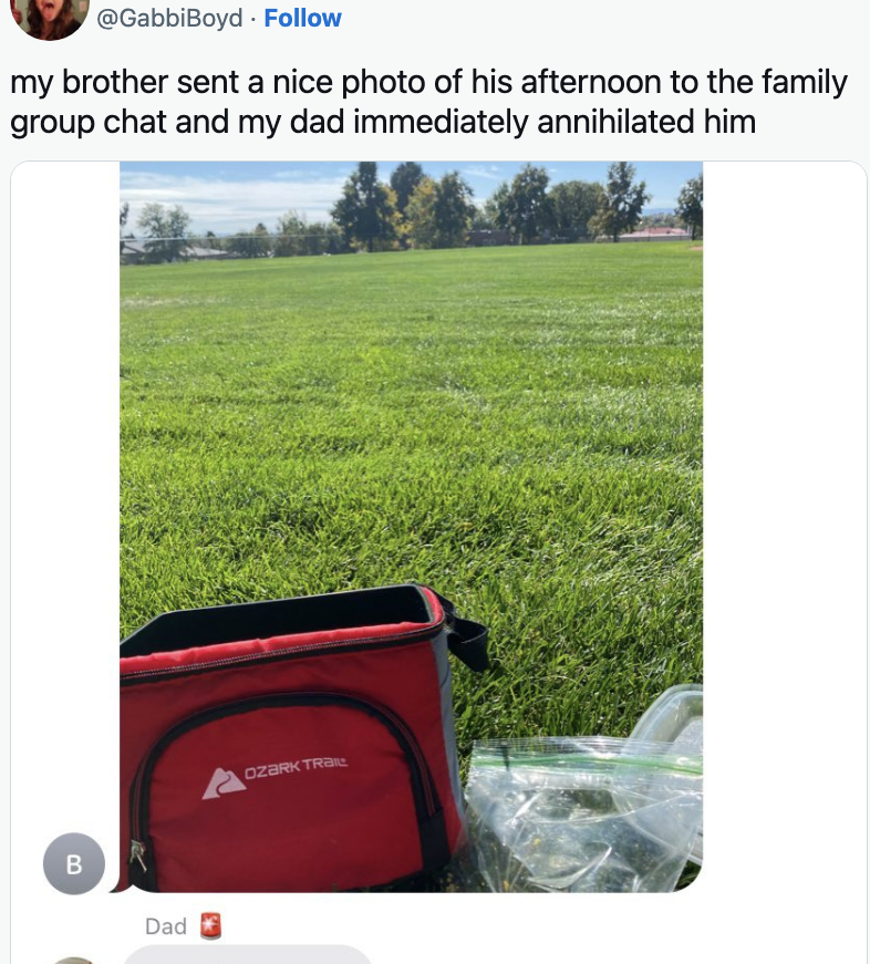 brother sends a photo of his nice picnic outside to the group chat and dad asks what the significance is