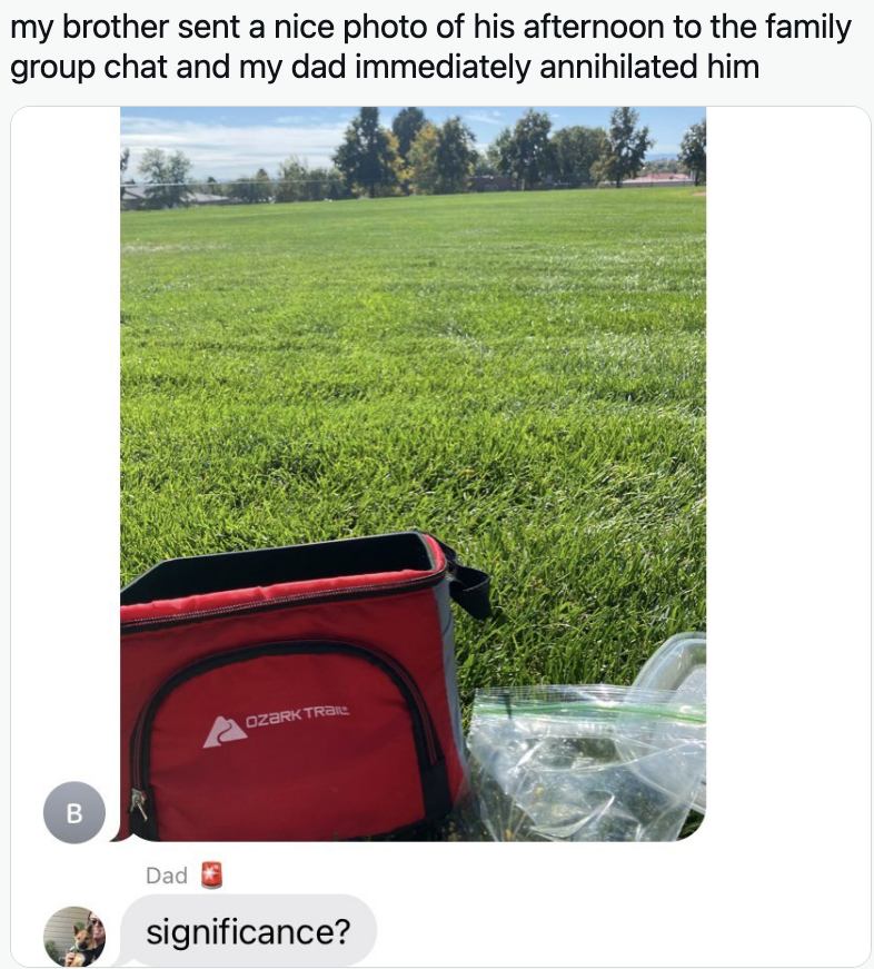 Someone sends a photo of a picnic they&#x27;re having in a field, and their dad simply replies &quot;significance?&quot;