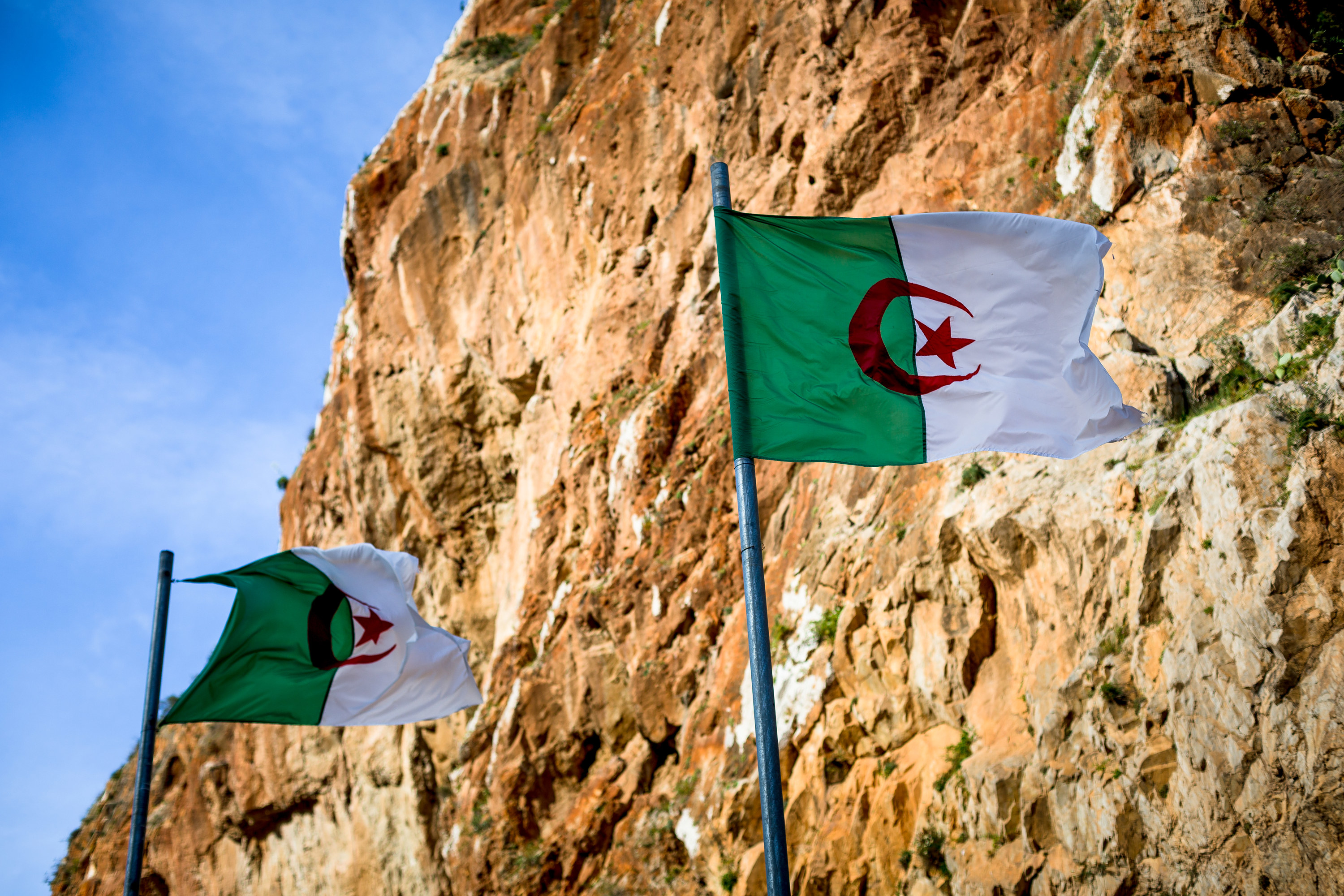 Two Algerian flags