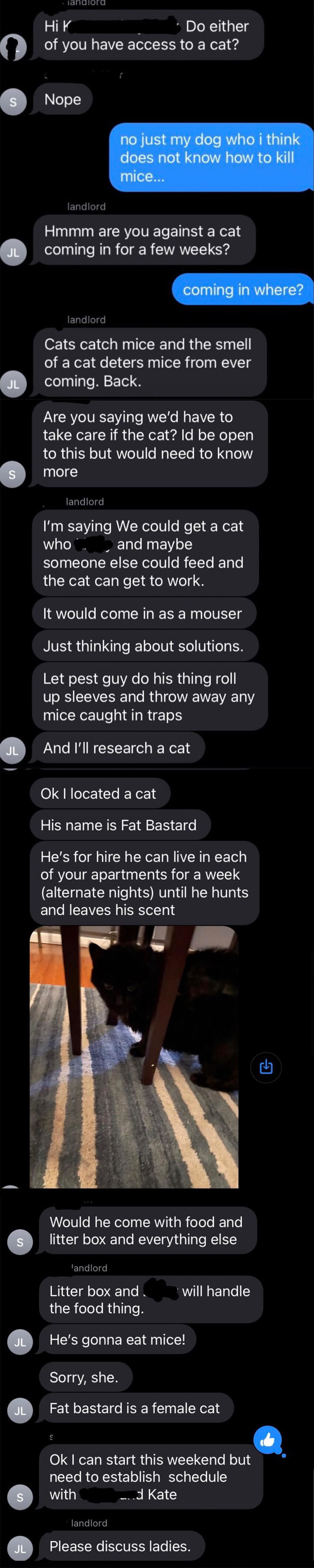 A long text chain with friends discussing getting a shared cat named Fat Bastard in order to solve a mouse problem