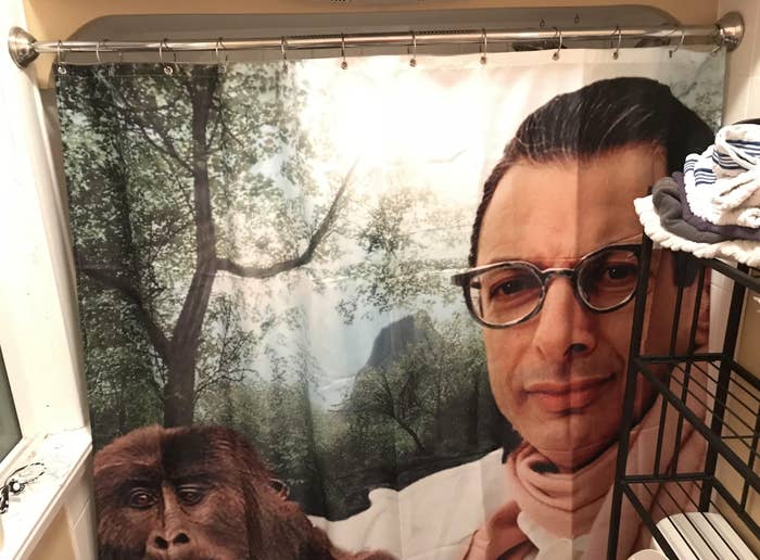 The shower curtain is one giant picture of Jeff Goldblum holding a monkey surrounded by trees