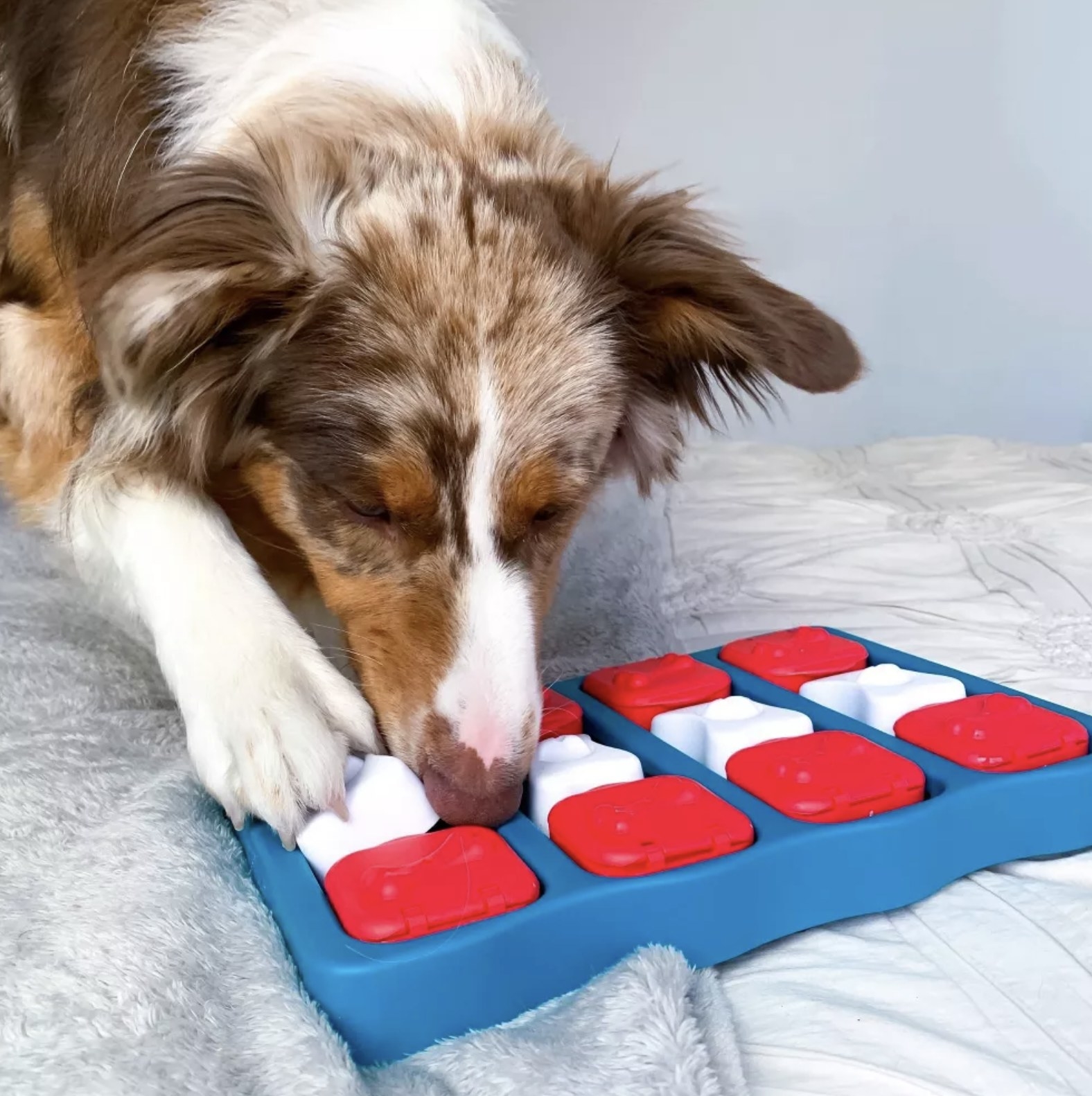 a dog playing with the interactive toy
