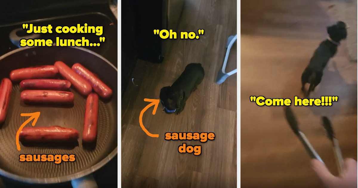 dad joking about cooking sausage for lunch and needing the sausage dog
