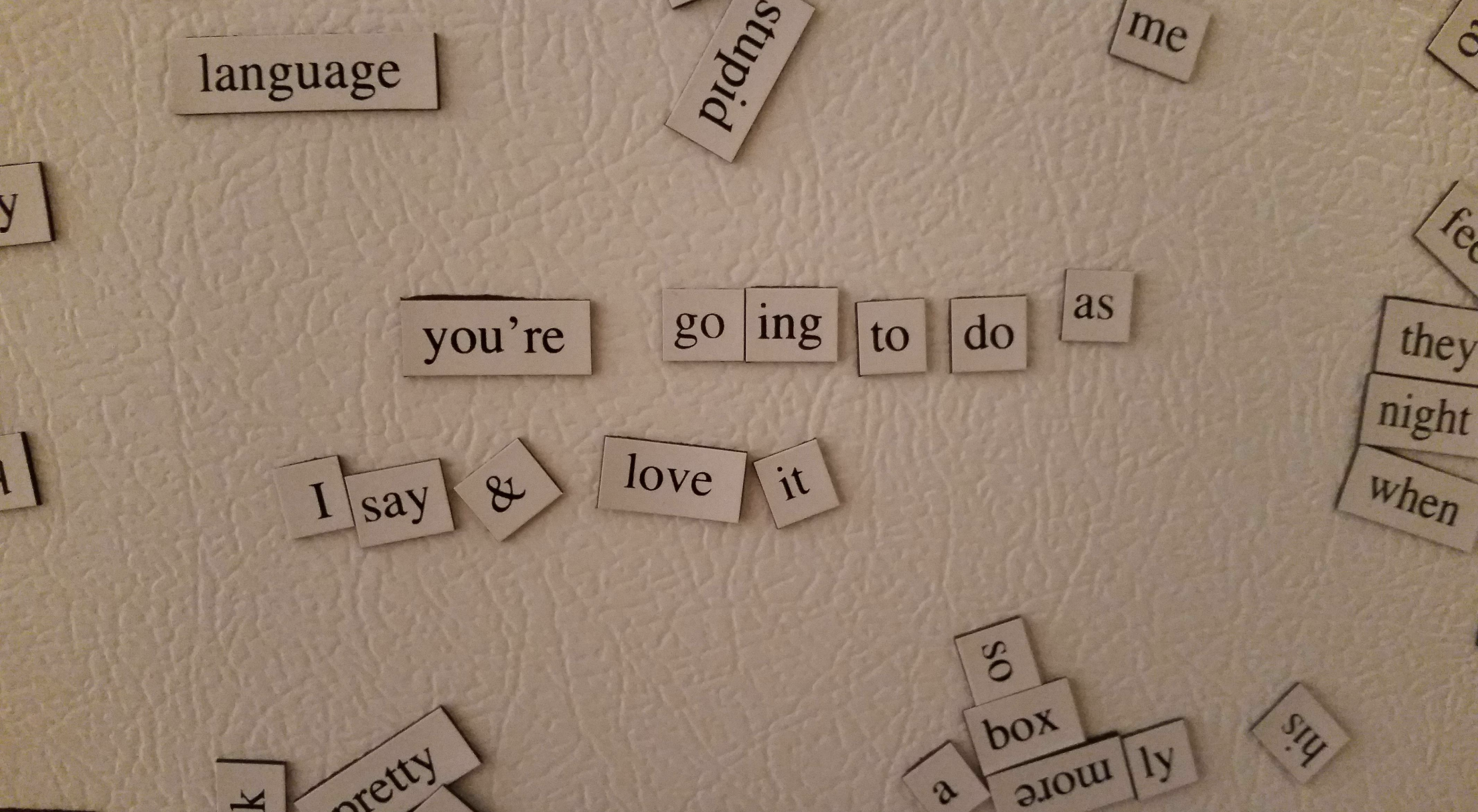 Magnets have been placed on the refrigerator so that they spelled out &quot;you&#x27;re going to do as I say and love it&quot;