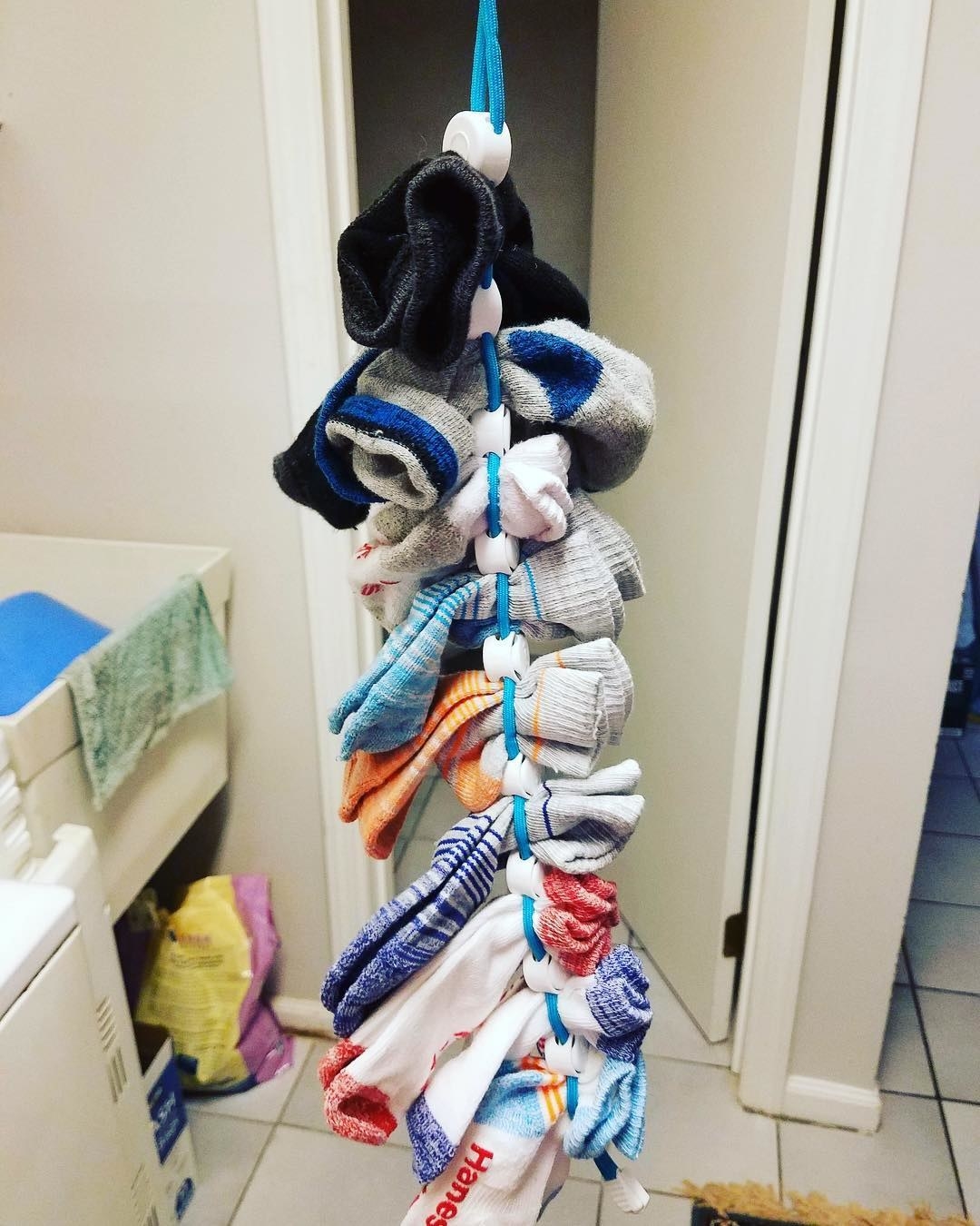 many sock pairs clipped into the laundry line