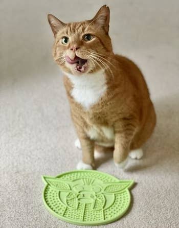 reviewer's cat licking his lips next to the round green textured mat with baby yoda design