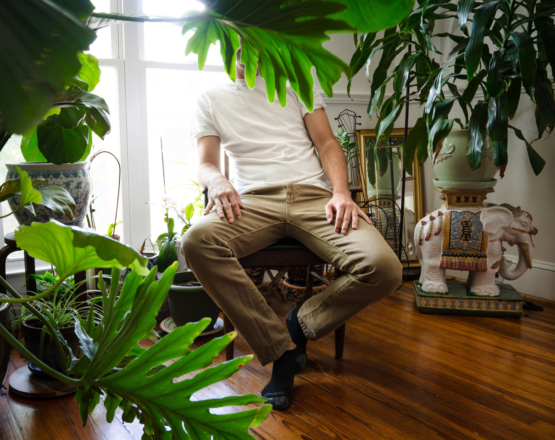 Picture of a man whose face is obscured by a house plant.