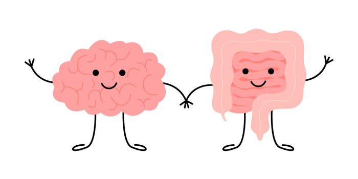 Illustration of a brain and gut holding hands