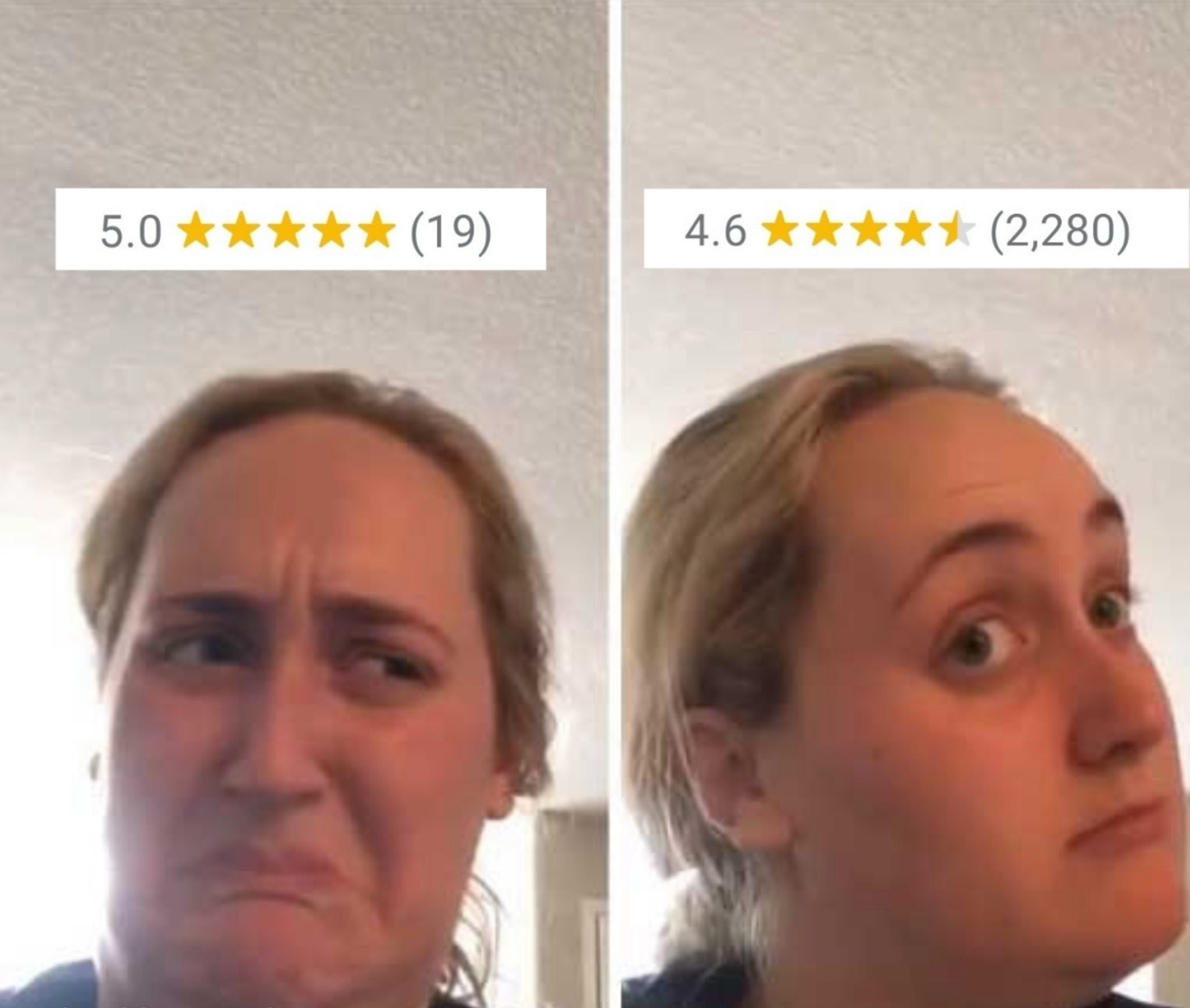 person not sold on 19 5 star reviews but sold on hundreds of 4 star reviews