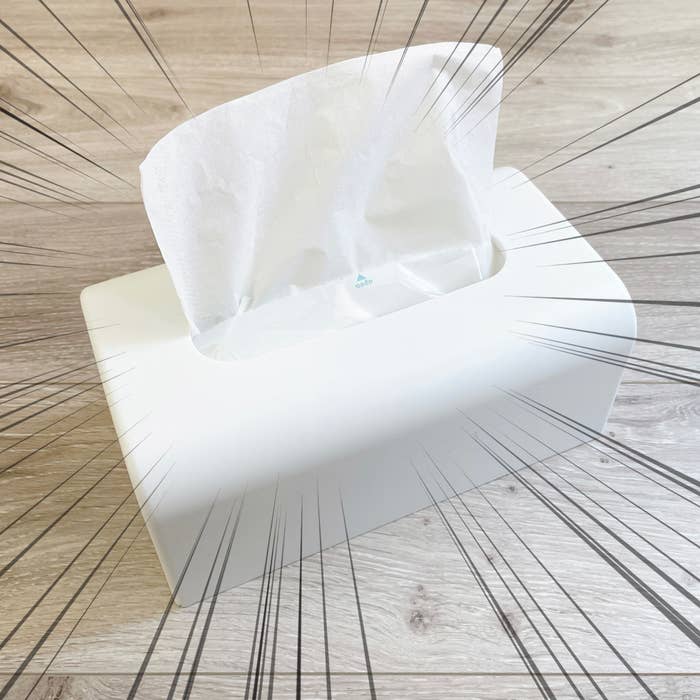 CAINZ（カインズ）のおすすめの便利グッズ「最後までしっかり使えるソフトパックティシューケース ホワイト」