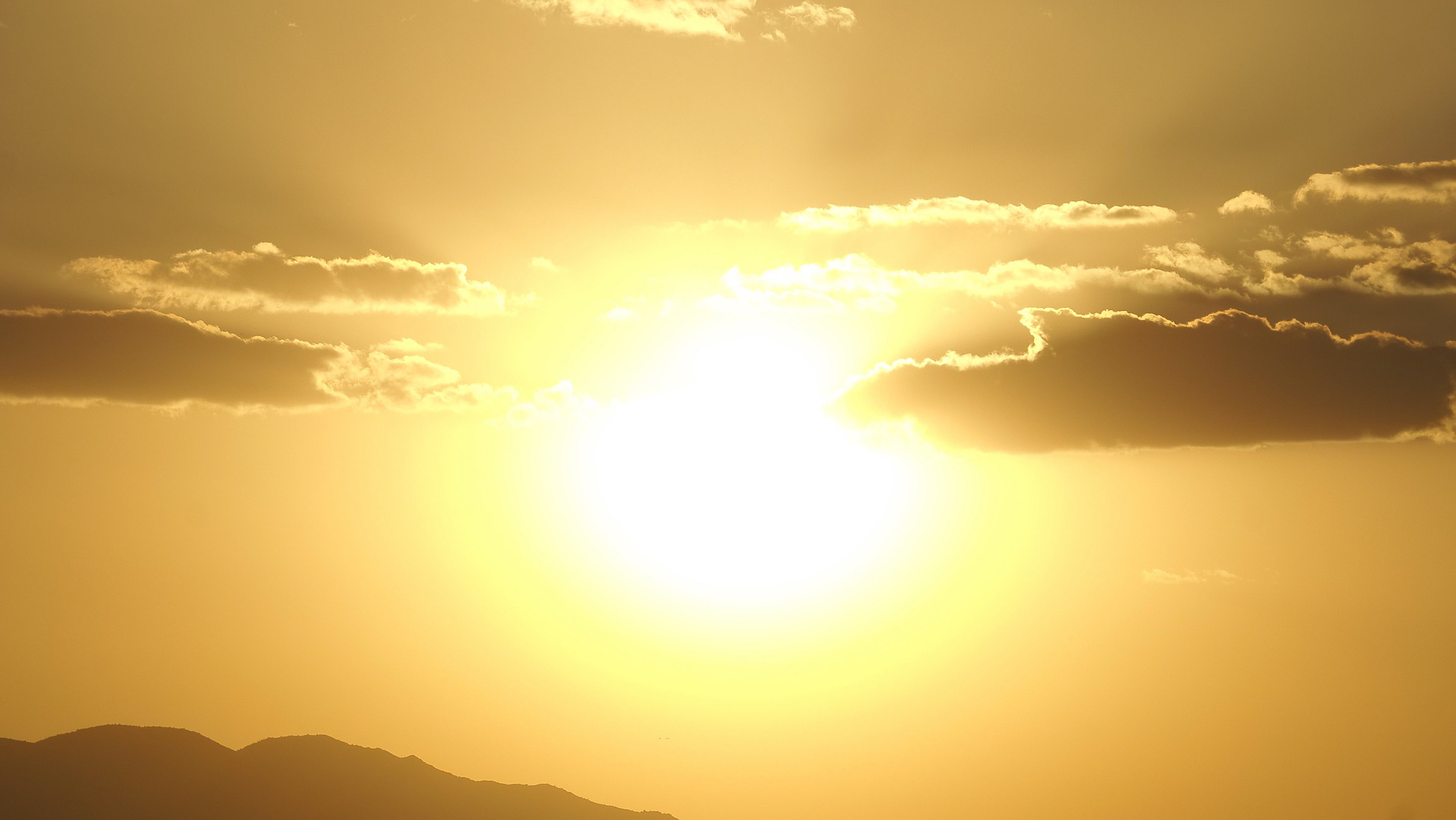 sun in the sky