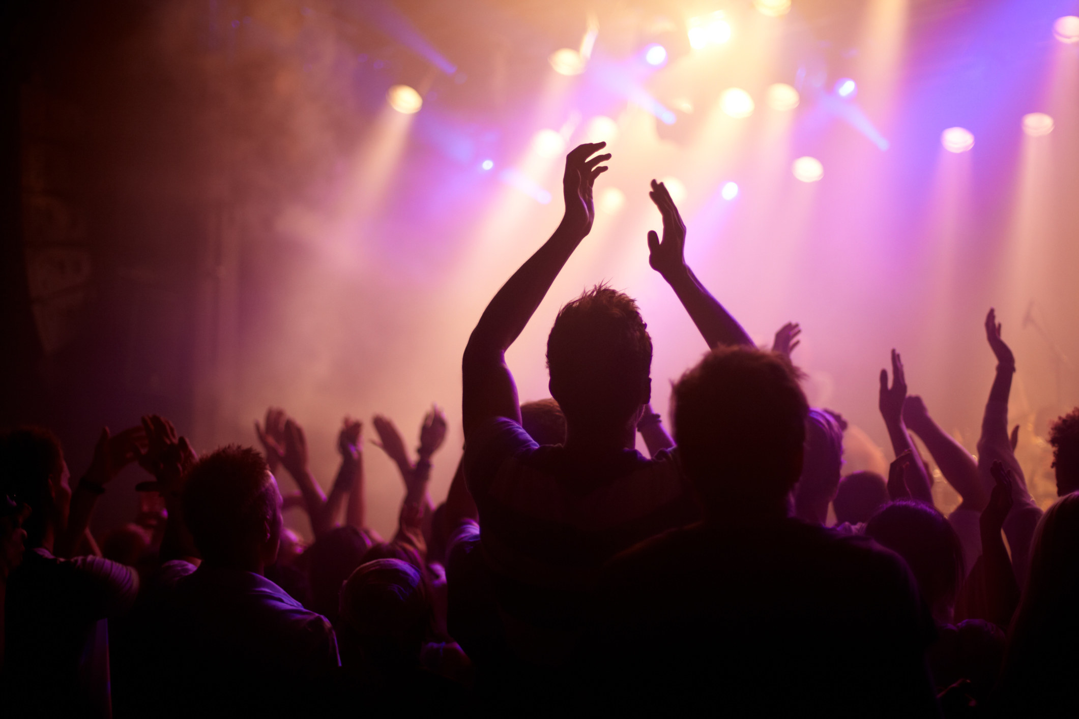 crowd at a concert