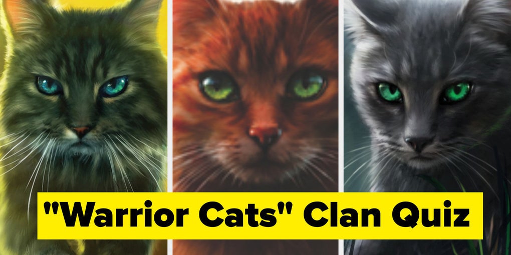Warrior Cat OC Quiz - ProProfs Quiz