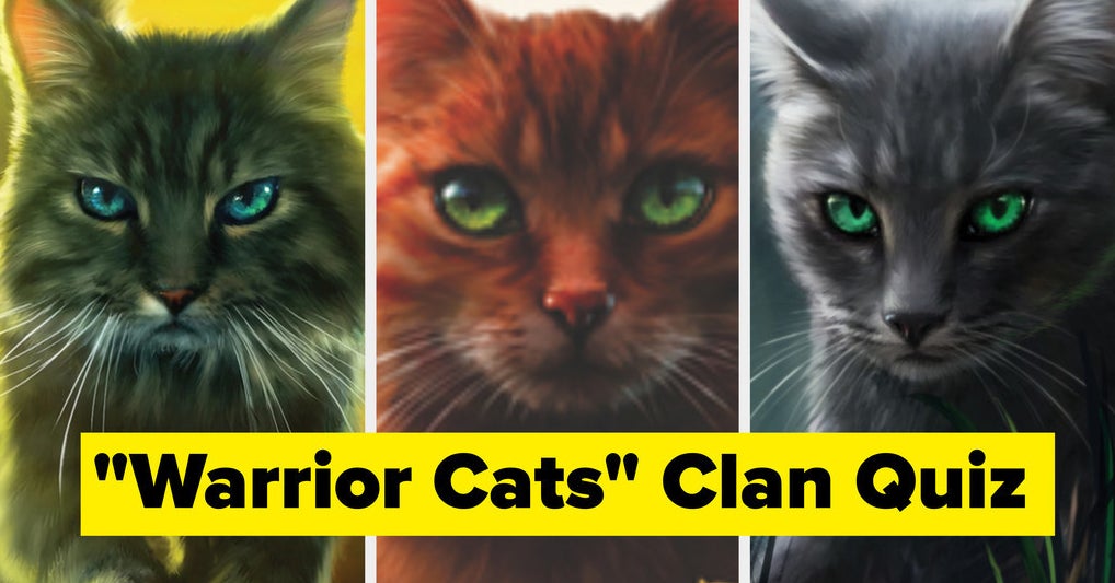 Warrior Cat name Generator! Part 1 – A Warriors Destiny – Podcast