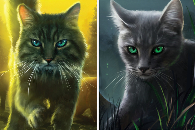 Warrior Cats Personality Quiz! - ProProfs Quiz