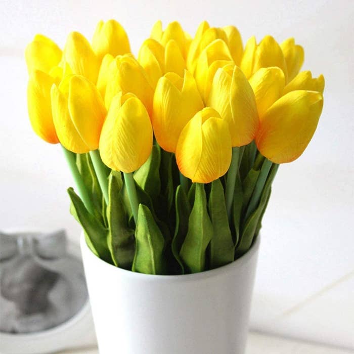 the tulips in a vase