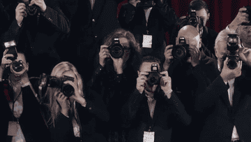 photographers taking pictures