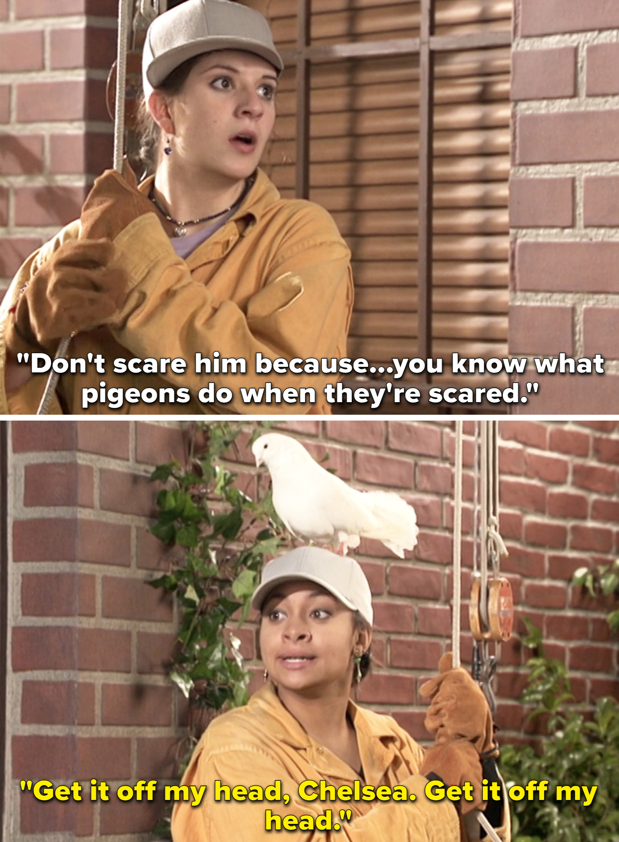 chelsea: don't scare him because you know what pigeons do when they're scared. Raven: get it off my head, chelsea, get it off my head