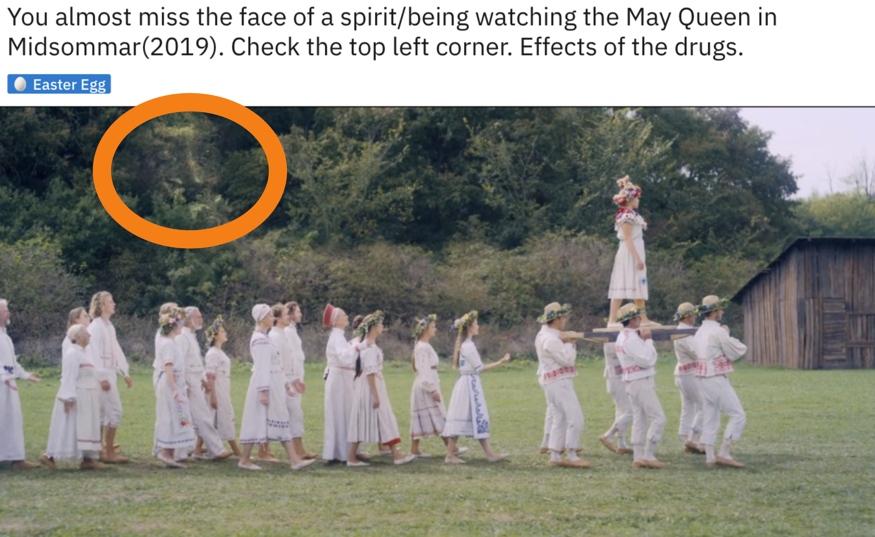 A face in the trees in &quot;Midsommar&quot;
