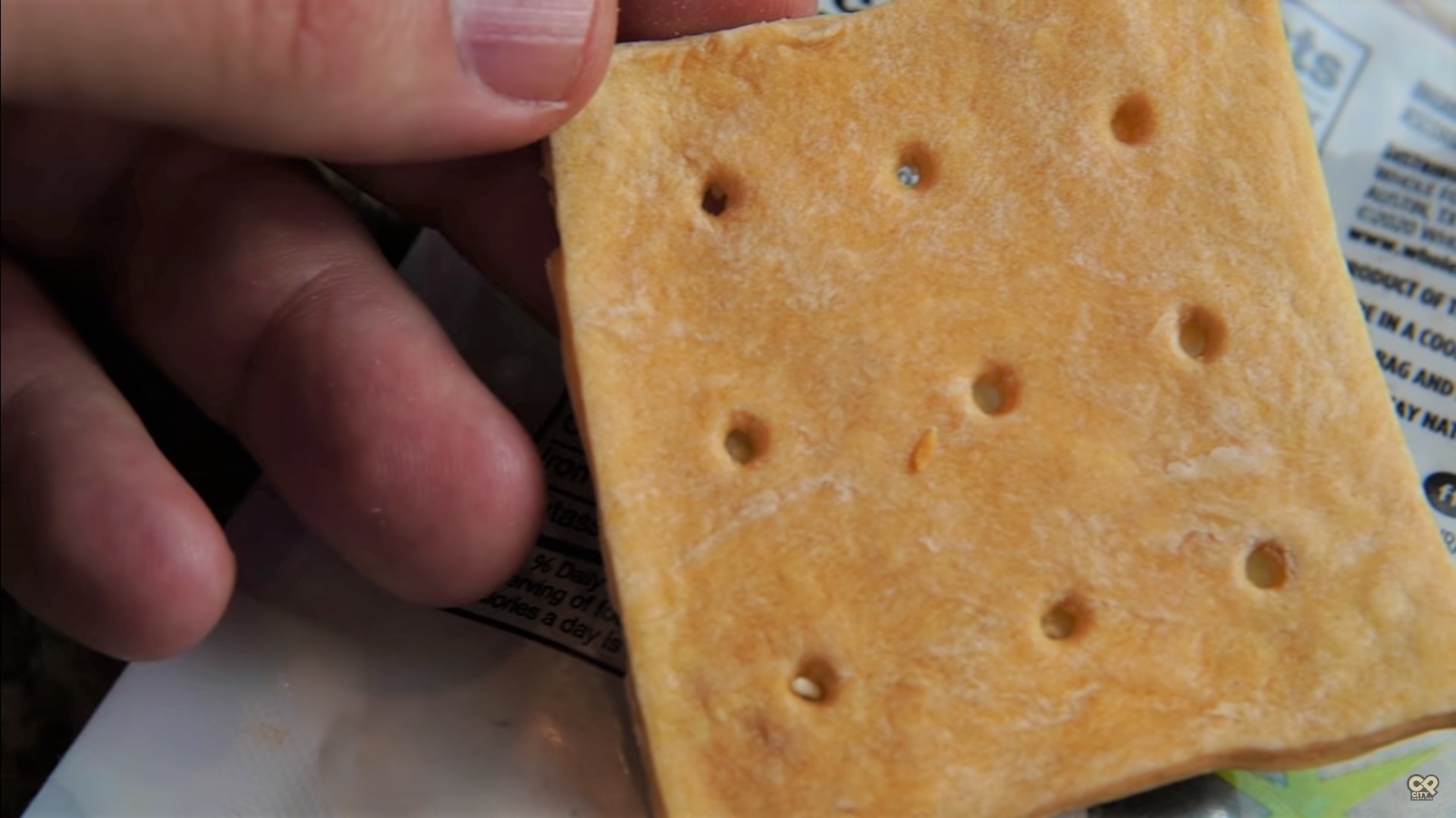 A piece of hardtack bread, resembling a cracker