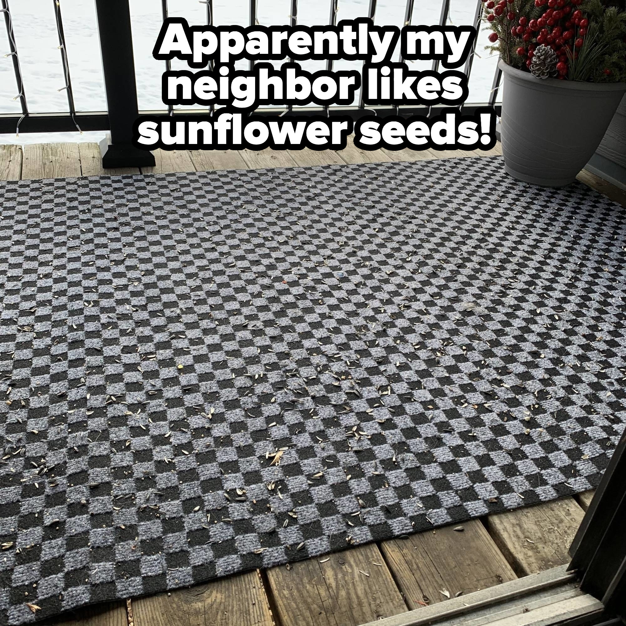 Sunflower seeds all over a person&#x27;s deck