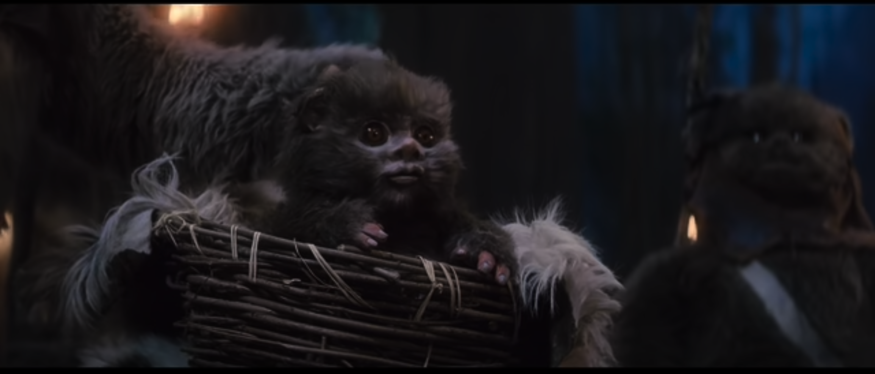 baby Ewok