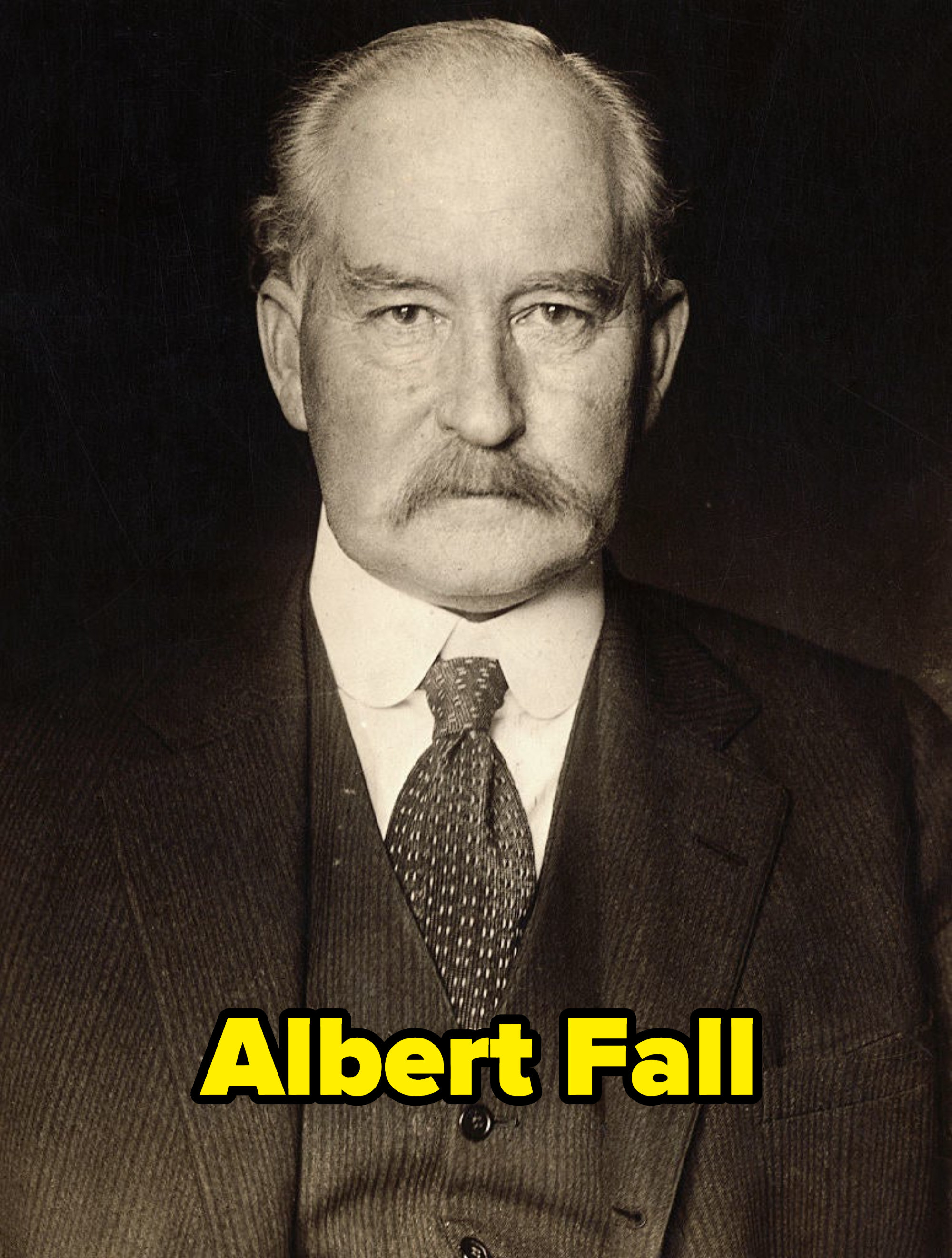 portrait of albert fall