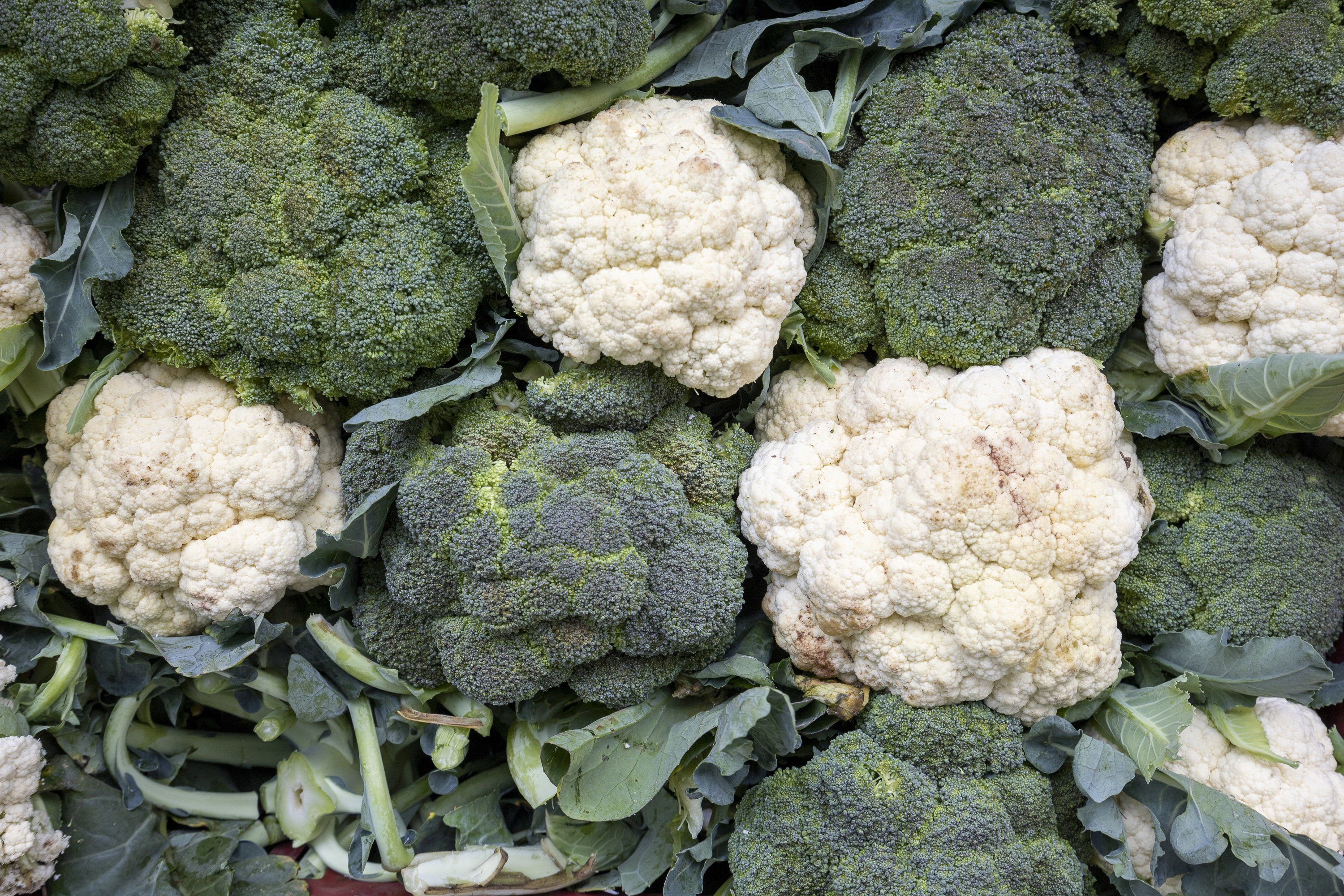 Broccoli and cauliflower on display