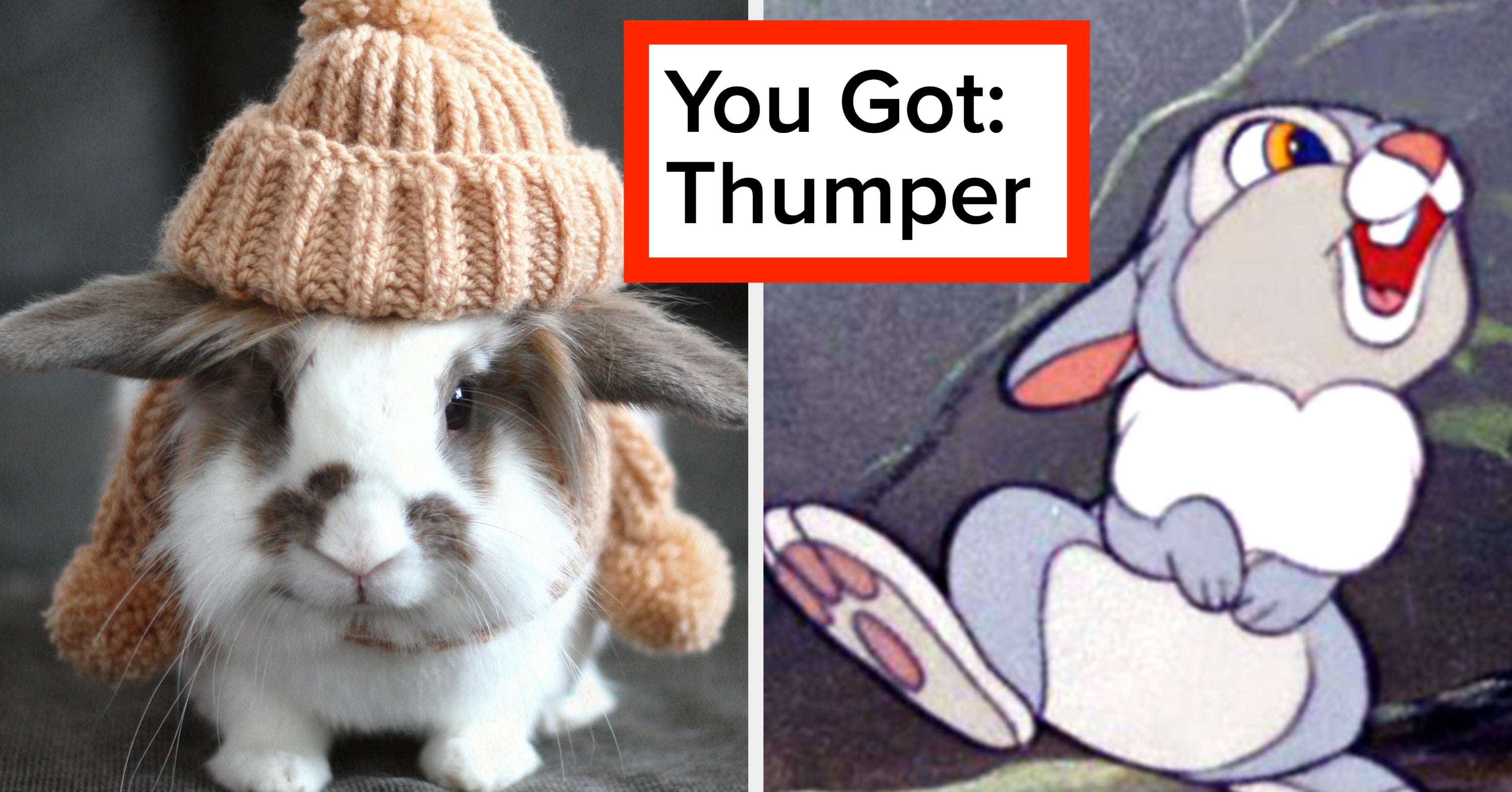 Let’s Find Out Which Famous Rabbit You’re Most Like