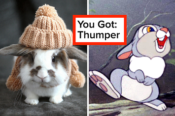 Which bunny character do you like most? –