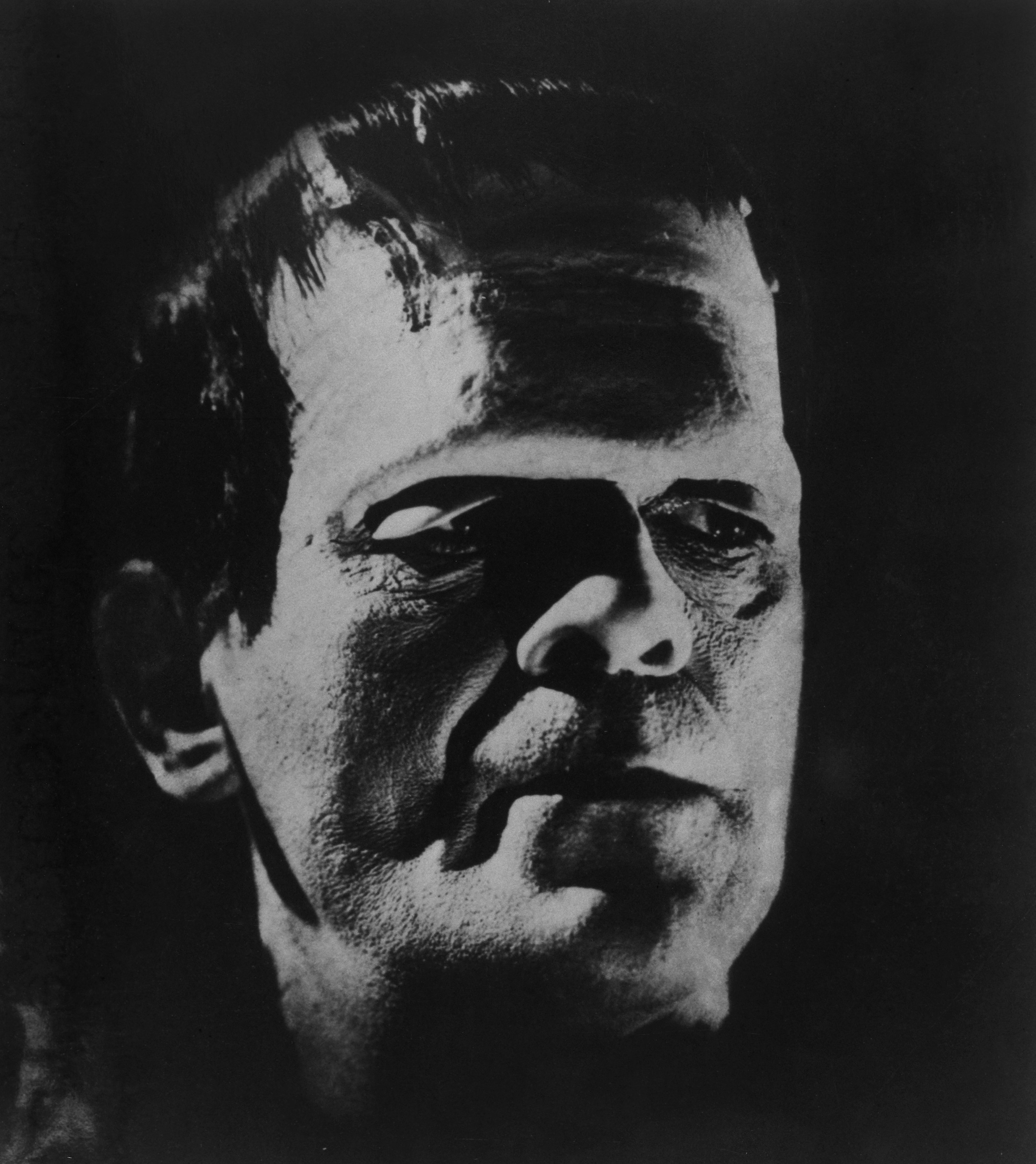 A photo of Frankenstein&#x27;s monster