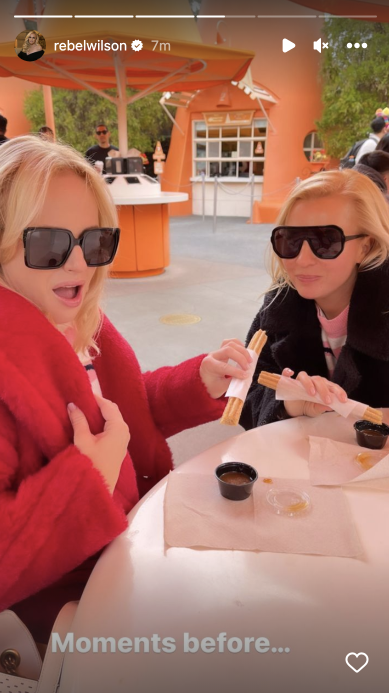 Rebel Wilson just trolled followers with this joke about her