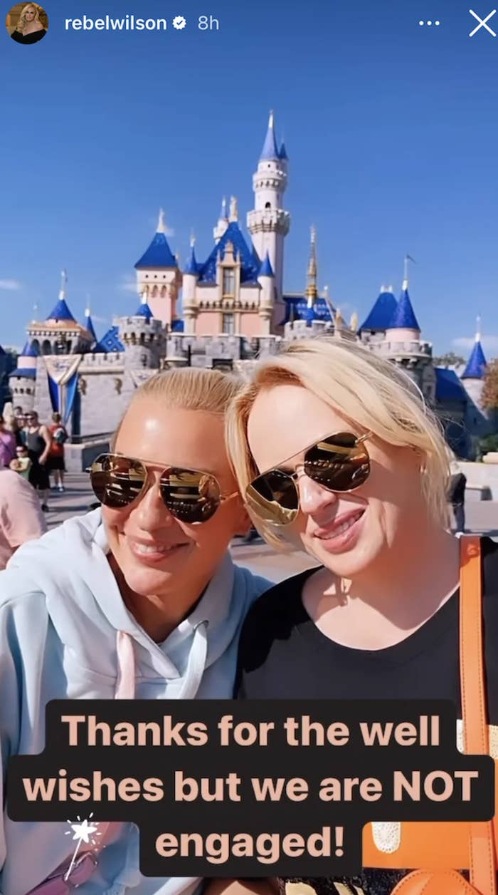 Screenshot from Rebel Wilson's Instagram story