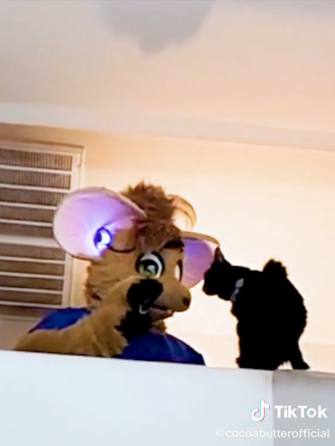Lamar dressed as Gibson the Mouse as he played with a cat