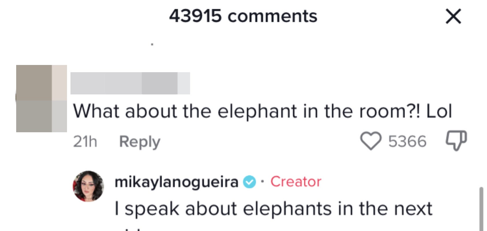 One person said &quot;What about the elephant in the room lol&quot; to which Mikayla replied &quot;I speak about elephants in the next video&quot;