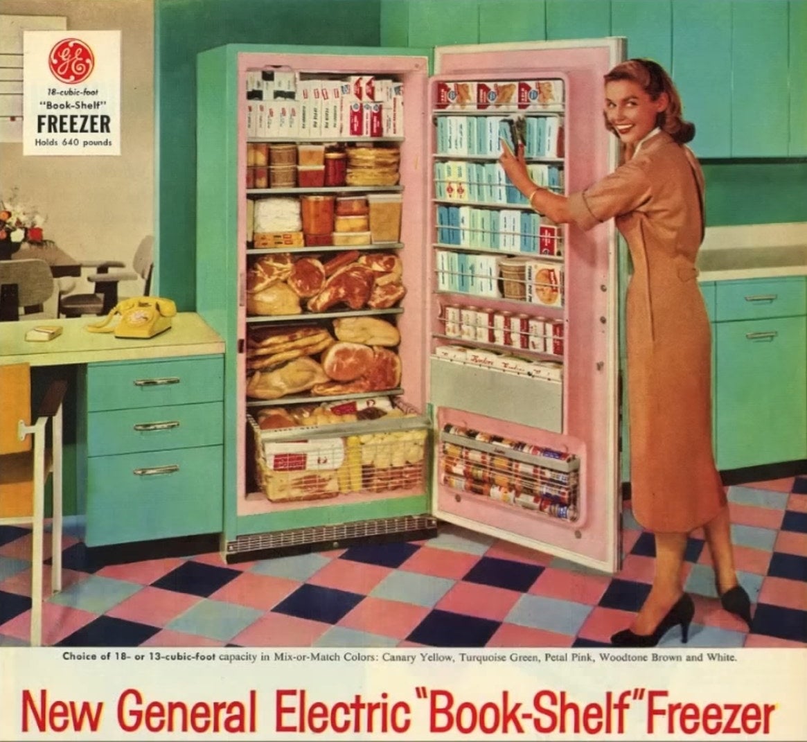 A woman displays a stuffed electric fridge in an advertisement
