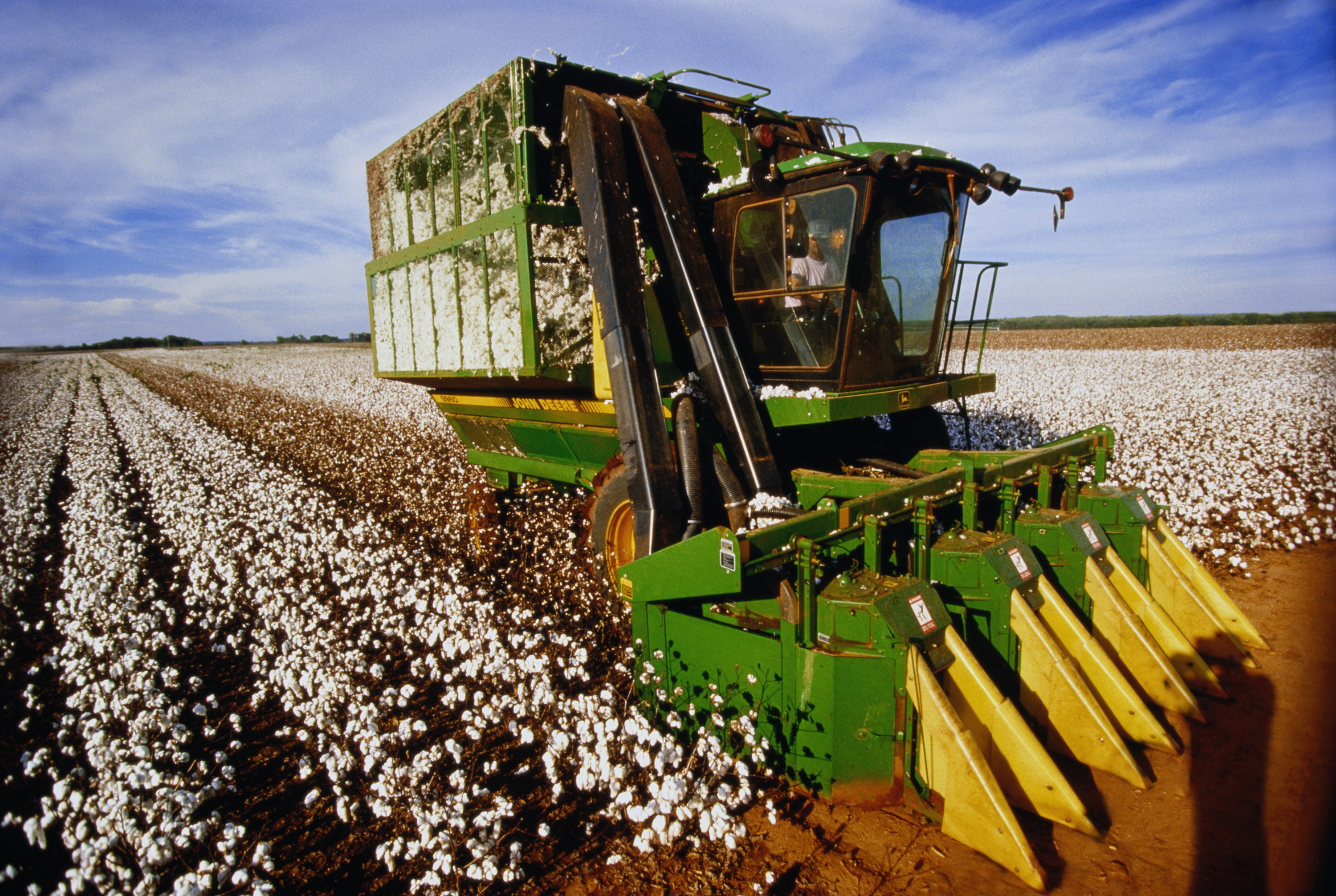 cotton harvesting machine in alabama