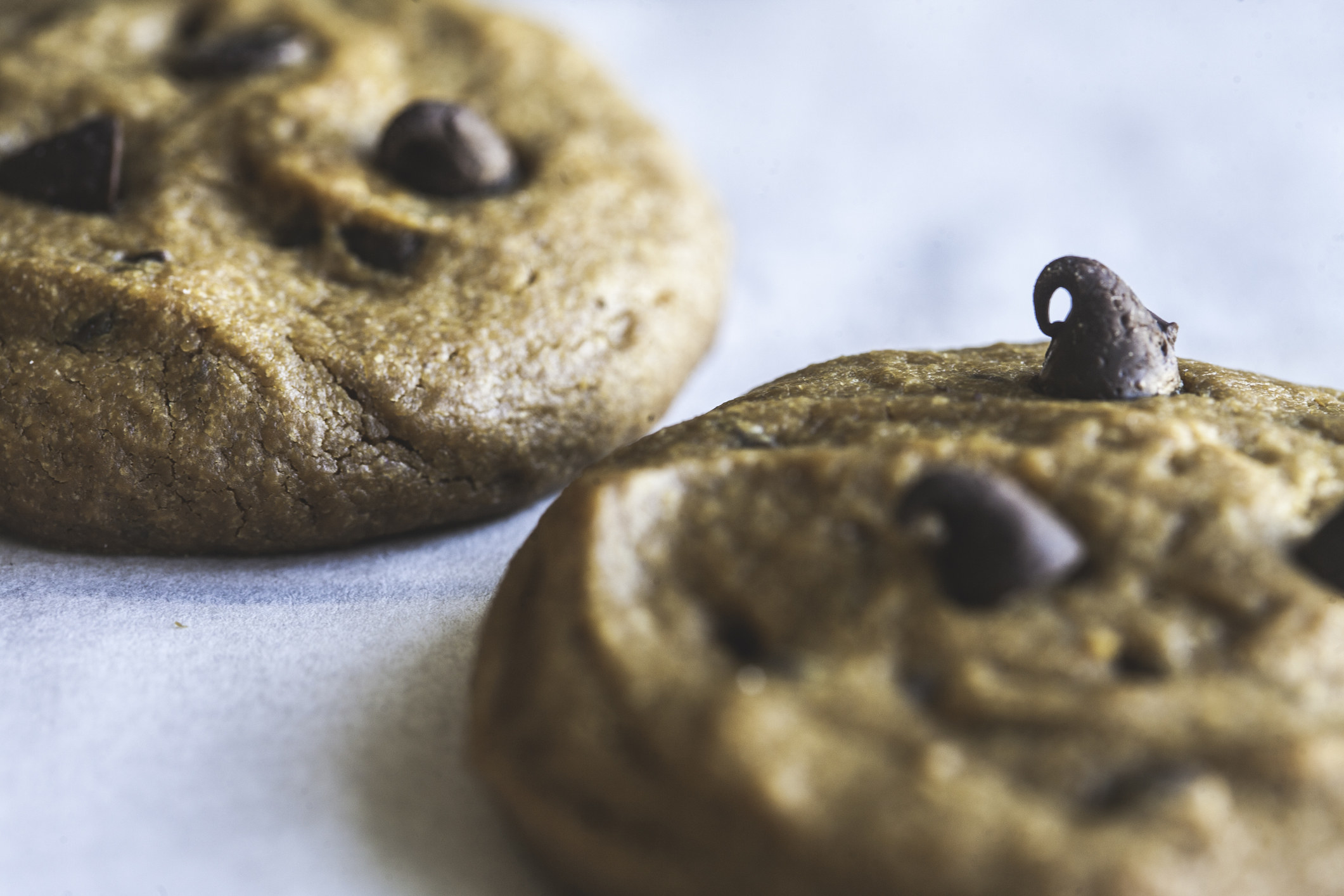 Two chewy chocolate chip cookies.