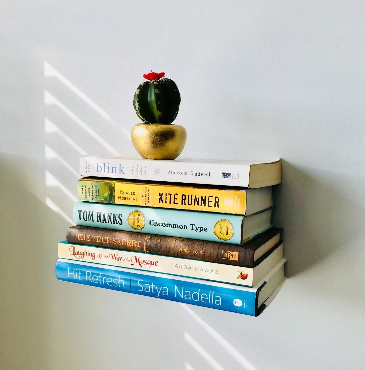 close up   photograph  of reviewer's floating bookshelf holding six books