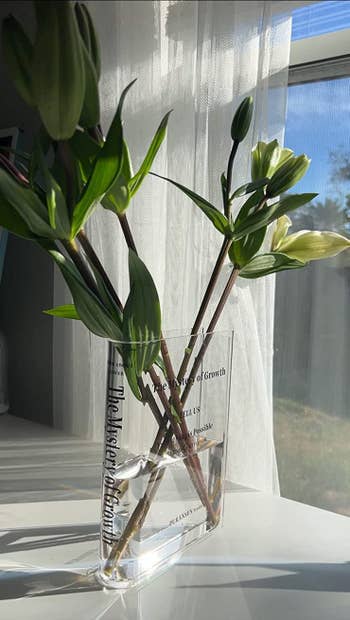 flowers in the clear book vase