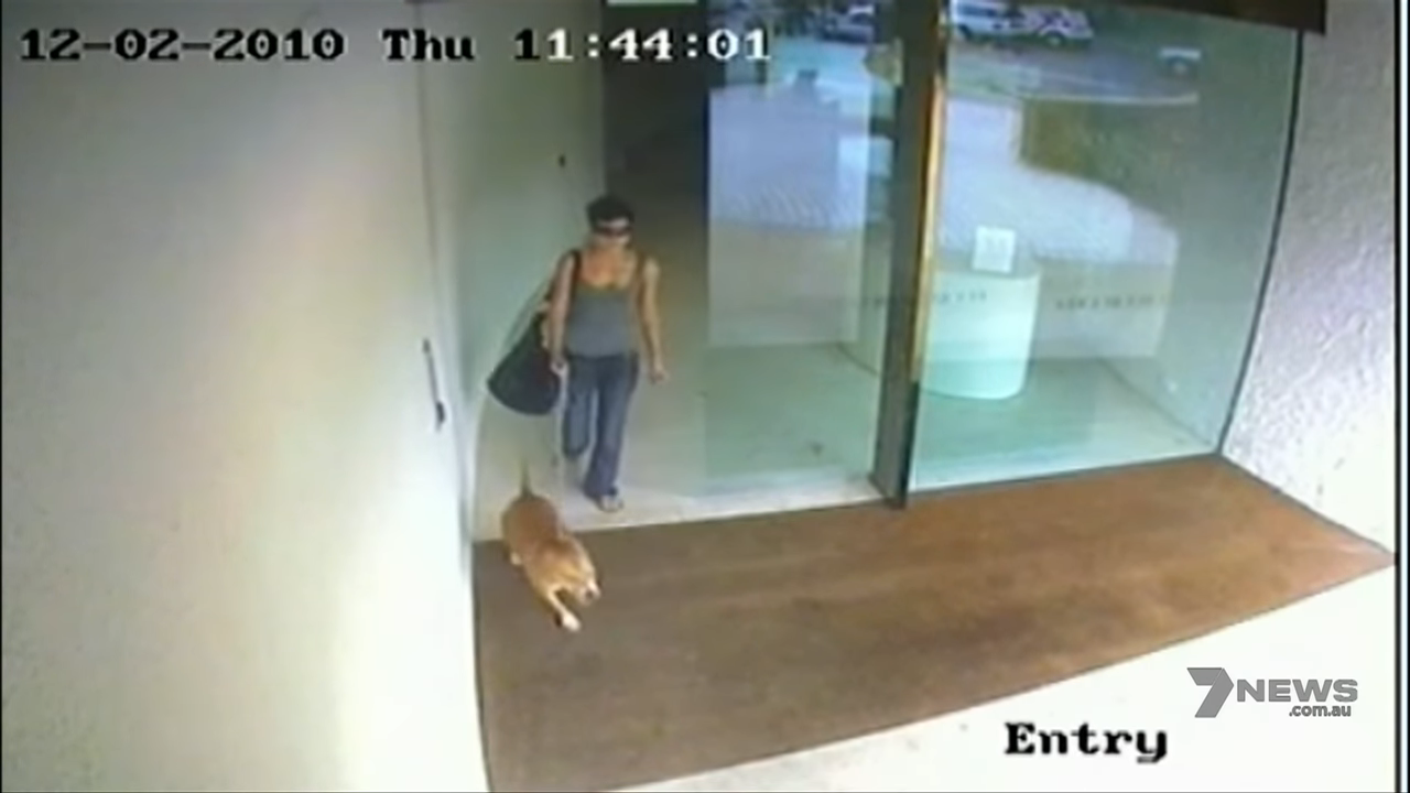 CCTV footage of Phoebe exiting her apartment building while walking her dog